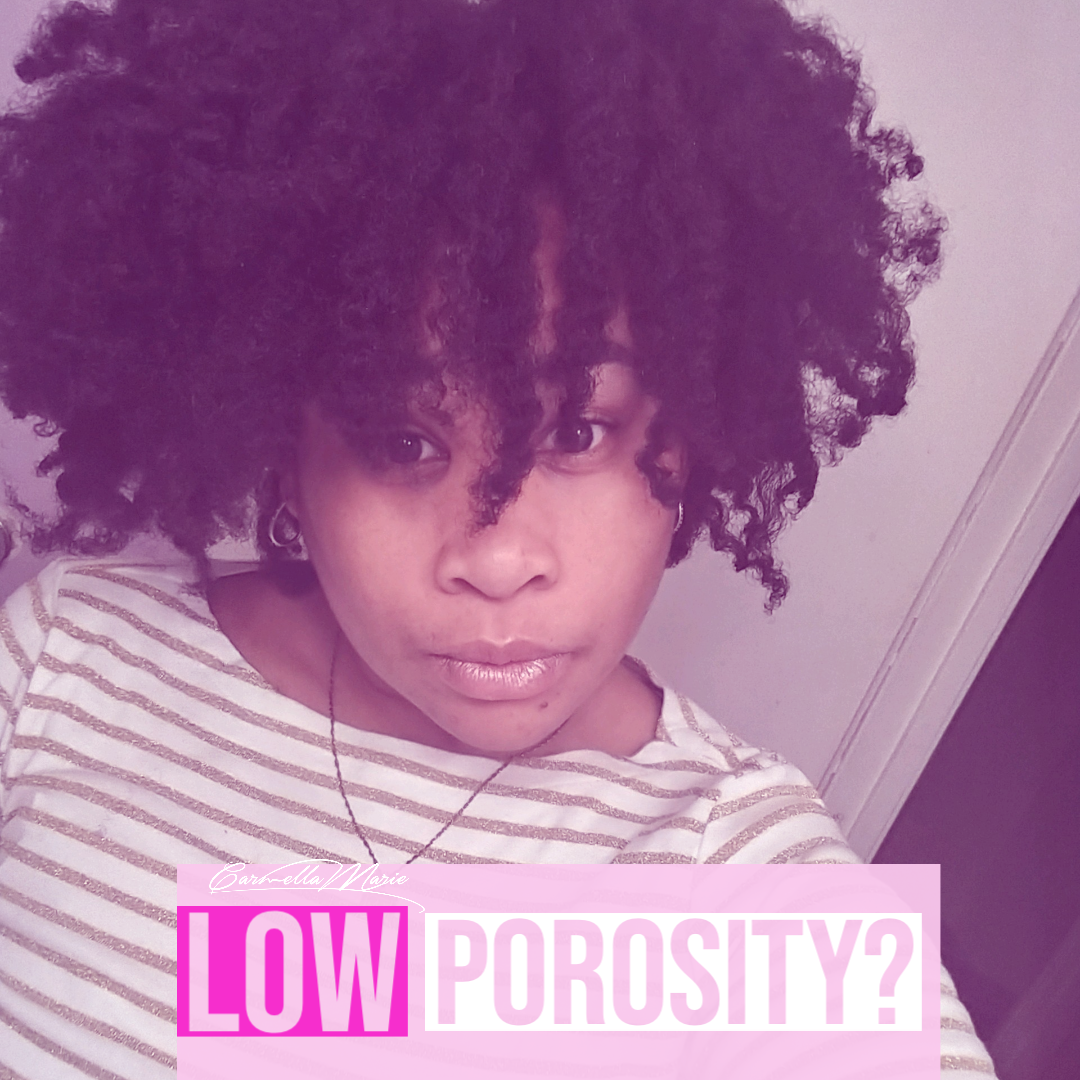 elite hair care products for low porosity hair